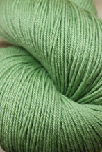 Load image into Gallery viewer, Kokadjo Superwash Wool and Silk