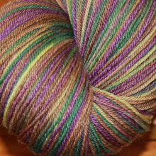 Load image into Gallery viewer, Kokadjo Superwash Wool and Silk
